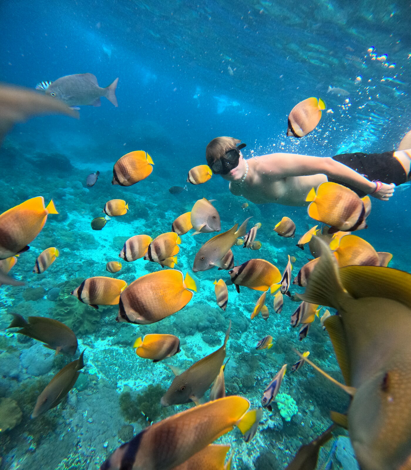 Benito swimming among tropical fish